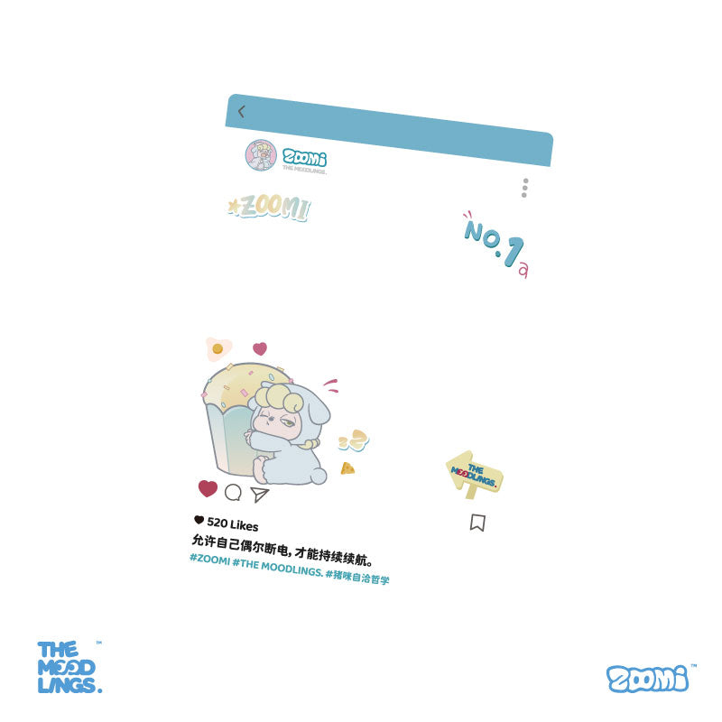 zoomi Big gift package