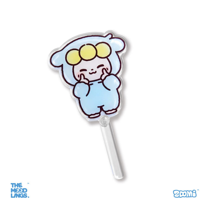 zoomi Big gift package