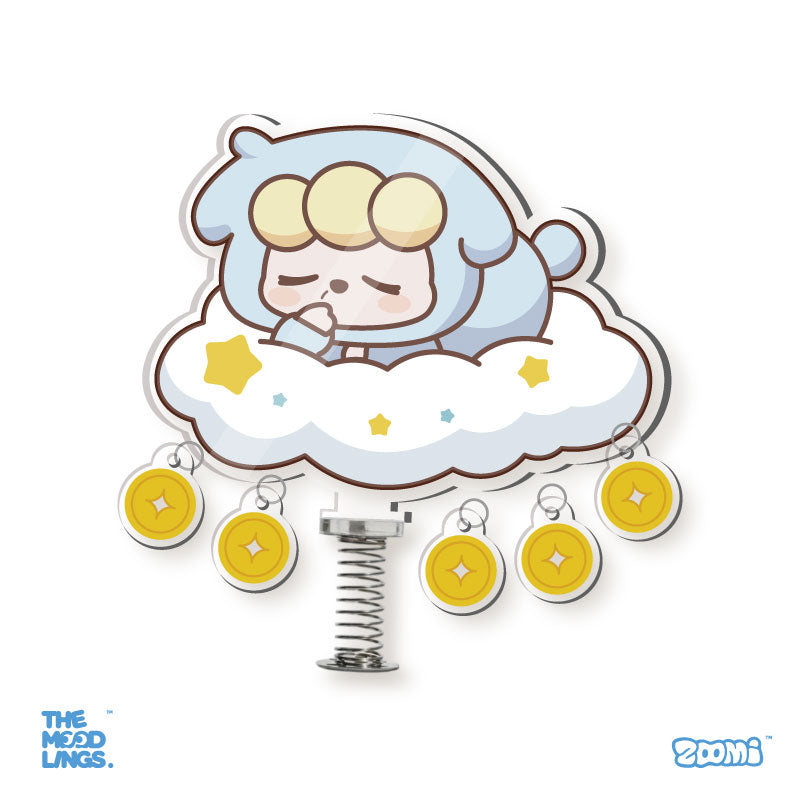 zoomi Big gift package