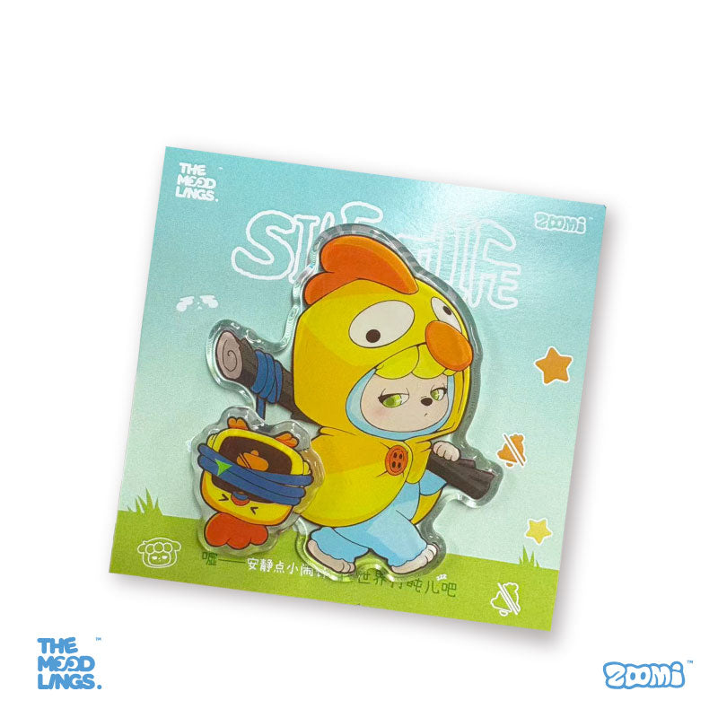 zoomi Big gift package