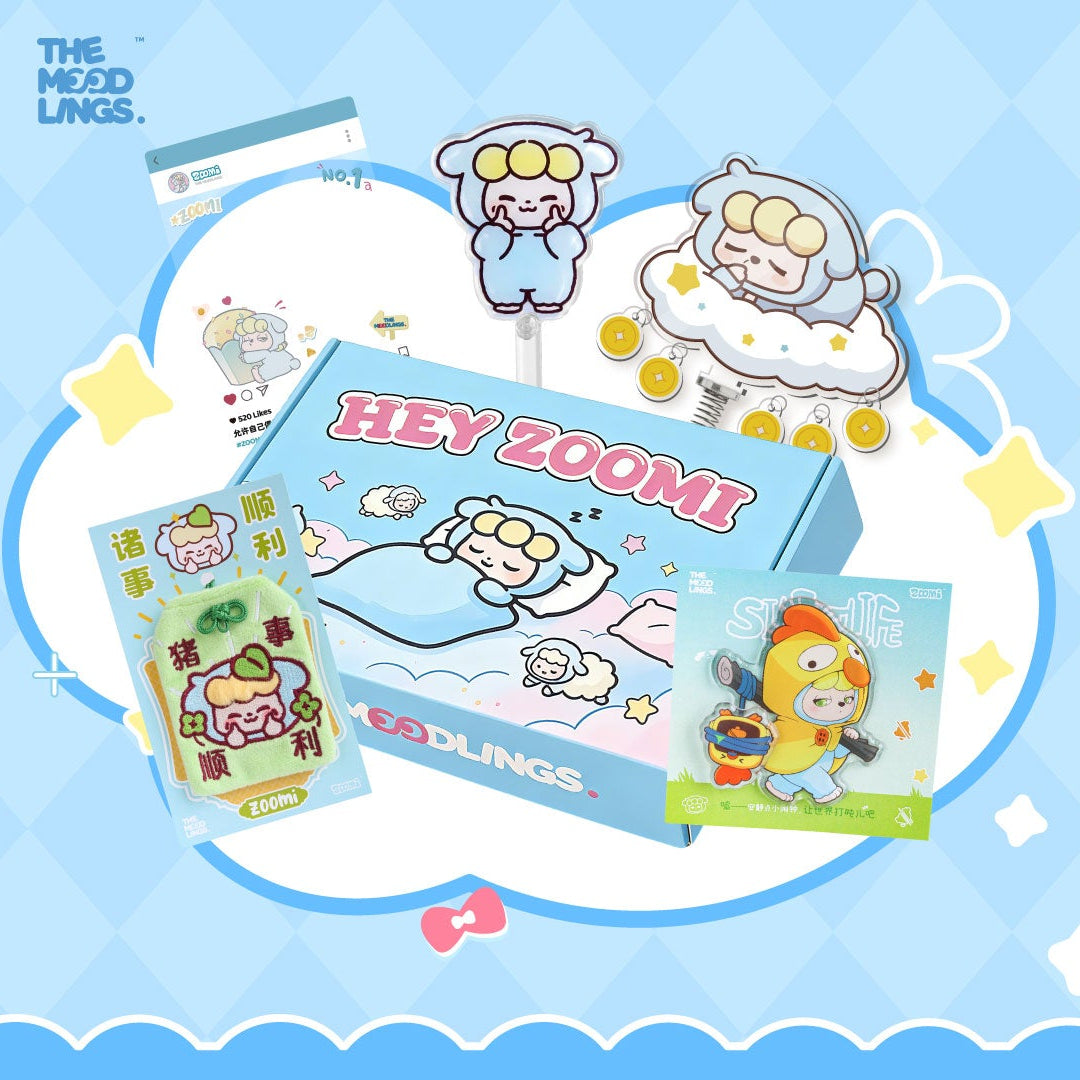 zoomi Big gift package